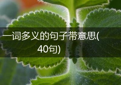 一词多义的句子带意思(40句)