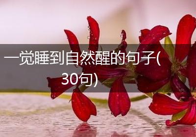 一觉睡到自然醒的句子(30句)