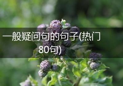 一般疑问句的句子(热门80句)