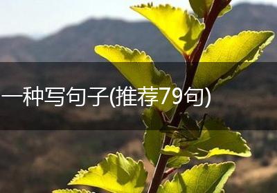 一种写句子(推荐79句)