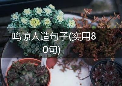 一鸣惊人造句子(实用80句)