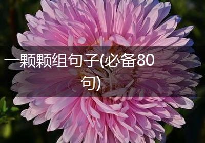 一颗颗组句子(必备80句)