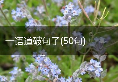 一语道破句子(50句)