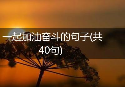一起加油奋斗的句子(共40句)
