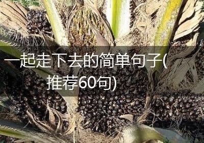 一起走下去的简单句子(推荐60句)