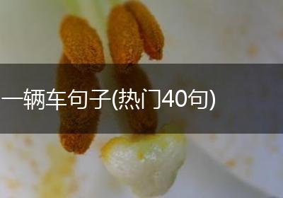 一辆车句子(热门40句)