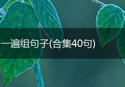 一遍组句子(合集40句)