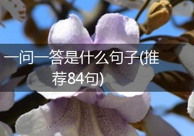 一问一答是什么句子(推荐84句)