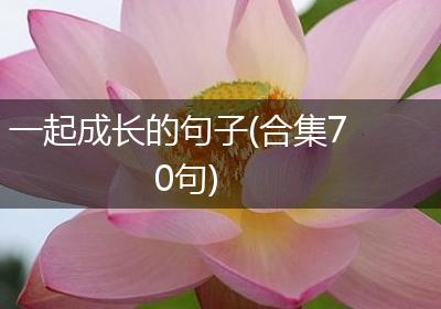 一起成长的句子(合集70句)