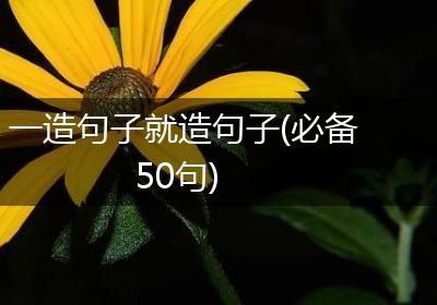 一造句子就造句子(必备50句)