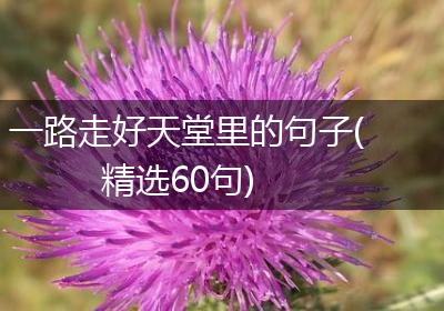一路走好天堂里的句子(精选60句)
