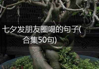 七夕发朋友圈喝的句子(合集50句)