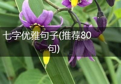 七字优雅句子(推荐80句)