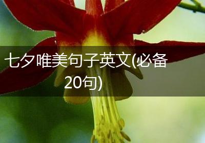 七夕唯美句子英文(必备20句)