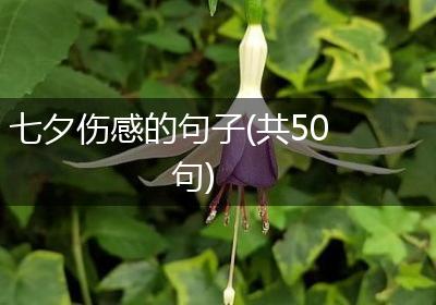七夕伤感的句子(共50句)