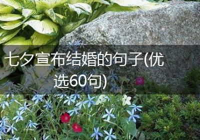 七夕宣布结婚的句子(优选60句)