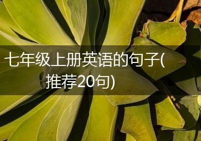 七年级上册英语的句子(推荐20句)