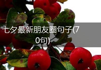 七夕最新朋友圈句子(70句)