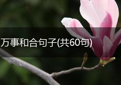 万事和合句子(共60句)
