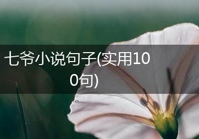 七爷小说句子(实用100句)