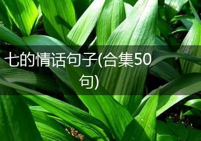 七的情话句子(合集50句)