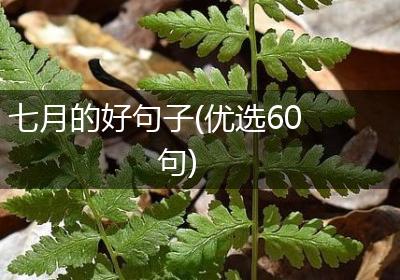 七月的好句子(优选60句)