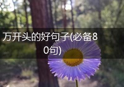 万开头的好句子(必备80句)