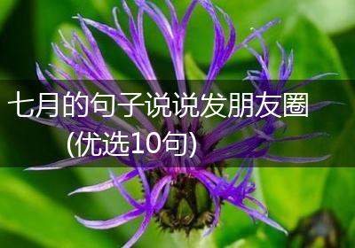 七月的句子说说发朋友圈(优选10句)