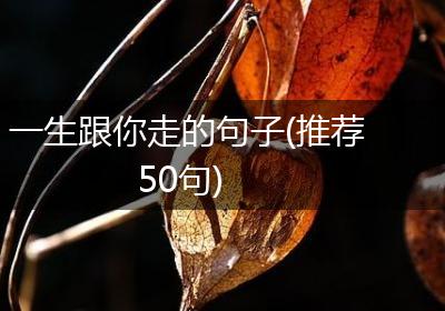 一生跟你走的句子(推荐50句)