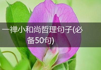 一禅小和尚哲理句子(必备50句)