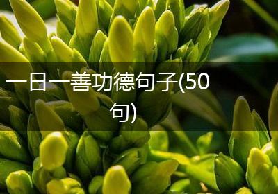 一日一善功德句子(50句)