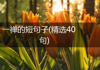一禅的短句子(精选40句)