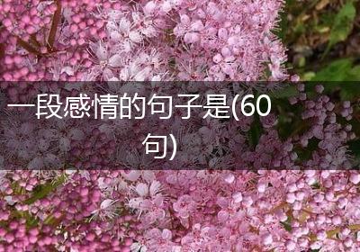一段感情的句子是(60句)