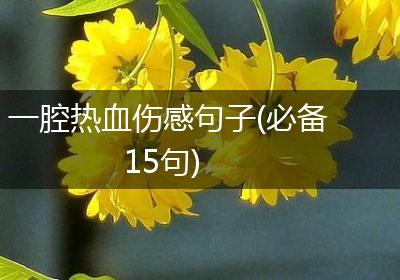 一腔热血伤感句子(必备15句)