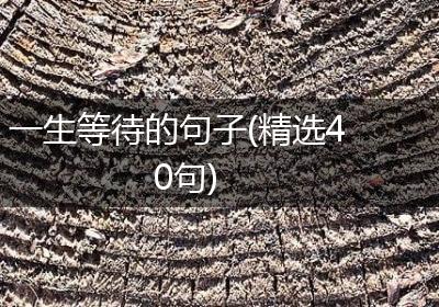 一生等待的句子(精选40句)