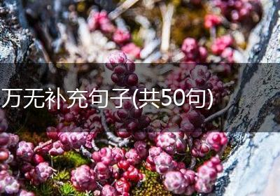 万无补充句子(共50句)