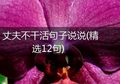 丈夫不干活句子说说(精选12句)