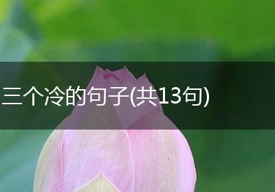 三个冷的句子(共13句)