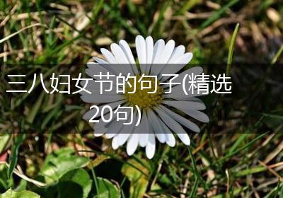 三八妇女节的句子(精选20句)