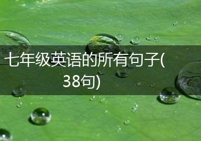 七年级英语的所有句子(38句)