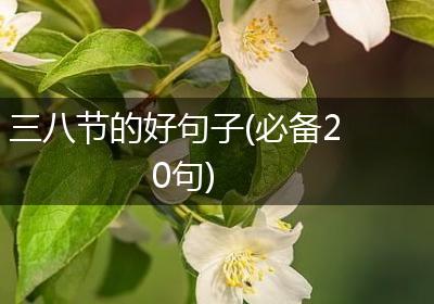 三八节的好句子(必备20句)