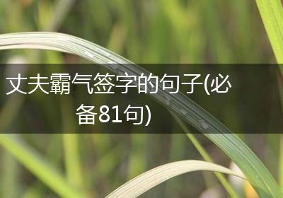 丈夫霸气签字的句子(必备81句)
