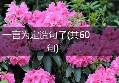 一言为定造句子(共60句)