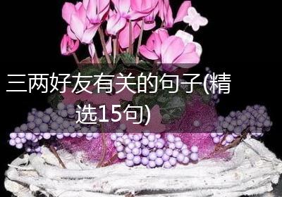 三两好友有关的句子(精选15句)