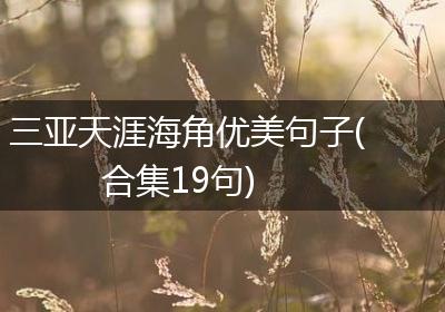 三亚天涯海角优美句子(合集19句)