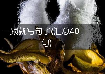 一跟就写句子(汇总40句)