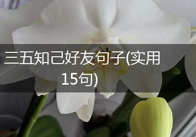 三五知己好友句子(实用15句)
