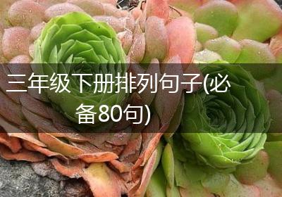 三年级下册排列句子(必备80句)
