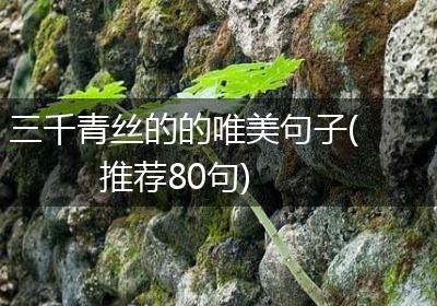 三千青丝的的唯美句子(推荐80句)