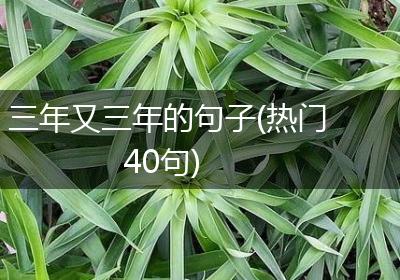 三年又三年的句子(热门40句)